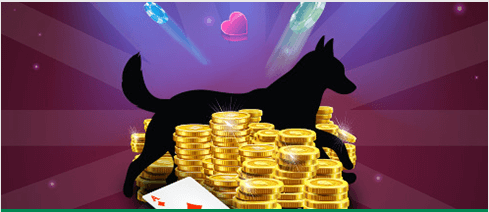 Dingo Casino Cashback