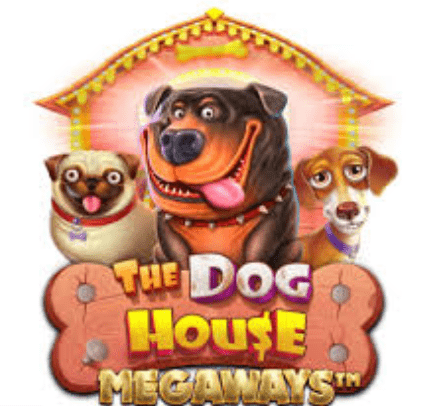 Evolve Casino live The Dog House