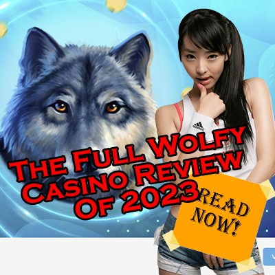 La revue complète du casino Wolfy