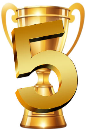 Top 5 Online Casinos